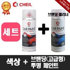 올뉴카니발하이리무진