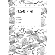 김소월시집큰글씨