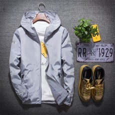 나뭇잎바람막이