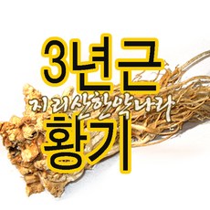 지리산한약나라 3년근 황기 300g, 1개