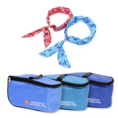 스위스몽크로스아이스