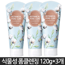 보타니컬테라피페이셜폼