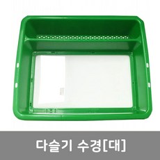 그린개굴채집
