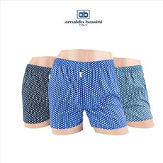 아놀드바시니캐리어