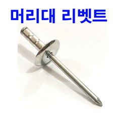 머리대리벳트