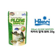 히카리 알게와퍼 20g 플레코 코리도라스 사료, 1개