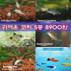 3687cd4b-5073-4150-ac07-fe92895c4281.jpg