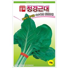 덴마크시금치씨앗500립