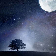 미드썸머나잇향수