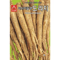 마늘모종 TOP01