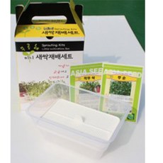새싹재배기아시아종묘