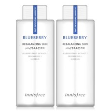 이니스프리 슈퍼푸드 블루베리 리밸런싱 스킨, 2개