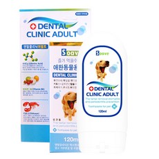 쏘아베 덴탈크리닉 어덜트 짜먹는치약, 120ml, 1개, 1개, 120ml