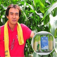 냉동괴산대학찰옥수수_옵션선택, 30개입, 쪄서 진공포장한 괴산대학찰옥수수_아이스박스