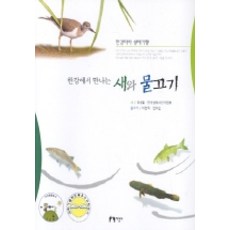 물속을나는새