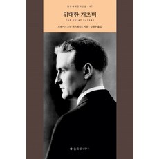 위대한개츠비책