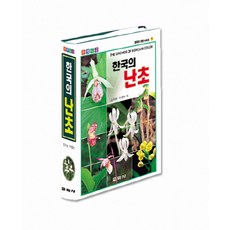 김수남사진굿