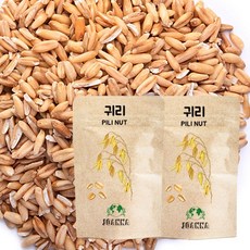 볶은피율무
