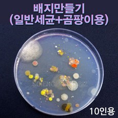 실험도구