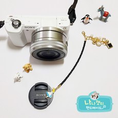 렌즈캡홀더앨리스