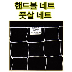 핸드볼골대망