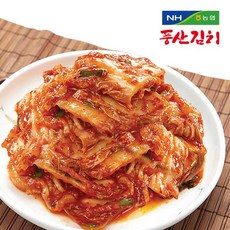 농협 풍산김치 맛김치5kg *2봉, 단품