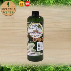 편백나무블라인드