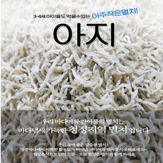 멸치대왕의꿈