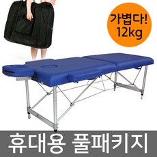 윈디 휴대용 미용베드 JY-01 마사지침대, 블루