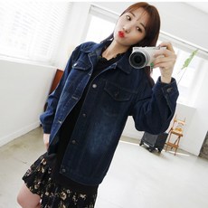 바버알렉사청