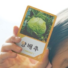 진짜진짜생생한한글낱말카드