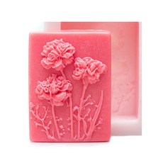 오일파스텔카네이션