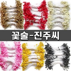 유채꽃제주술