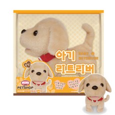 베이비펫아기푸들