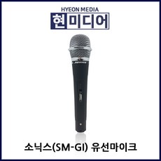 에스전자무선마이크