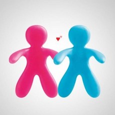 미스터앤미세스 체사레 차량용 방향제, 1개