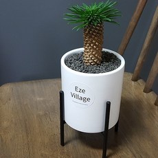 햇살농장옥수수