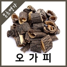 본초명가구기자