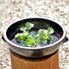 자베기 3호(대) 옹기항아리수반