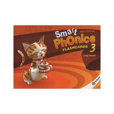 스마트파닉스플래시카드