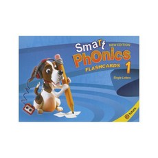 스마트파닉스플래시카드