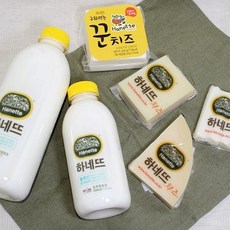 올댓리빙 수제 플레인요거트 치즈 하네뜨 전체세트, 1세트