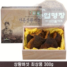 뽕나무상황버섯 최상품300g, 1개, 300g