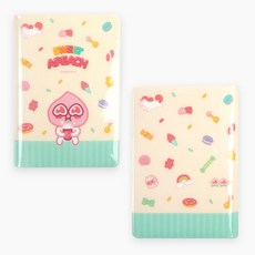 카카오프렌즈여권