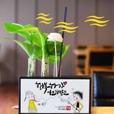 미나의정원 3구 시험관 아로마디퓨저 액자화분, 63