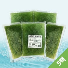 서제천영농조합 동강 청정 다슬기육수1kgx5팩, 5개, 1kg