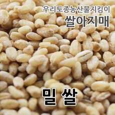 2024년 국산 밀쌀 우리밀 쌀아지매, 1kg, 2개