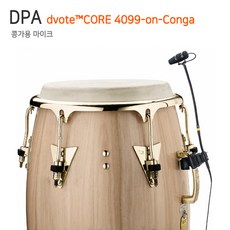 dpa마이크