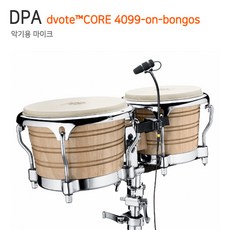 dpa마이크