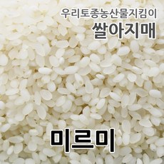 고양가와지쌀